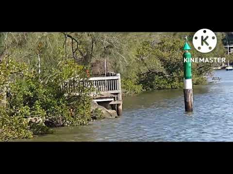 Taddabbur alam at Picnic Point Lambeth Reserve, NSW- Australia.