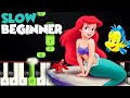 Part Of Your World - The Little Mermaid | SLOW BEGINNER PIANO TUTORIAL + MUSIC SHEET By Betacustic