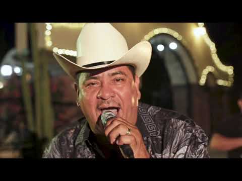 EL TIGRILLO PALMA -       PALOMA AZUL