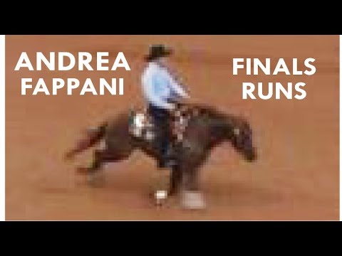 NRHA Reining - NRHA Futurity Andrea Fappani
