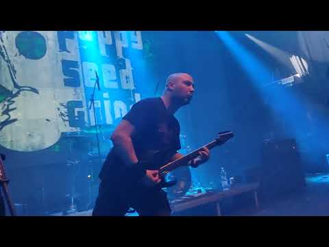 Poppy Seed Grinder - POPPY SEED GRINDER Live at Rotten fest Olomouc