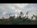 Bucharest Time Lapse 04 06 2026