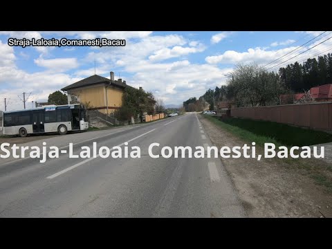 Straja-Laloaia,Comanesti,Bacau travel