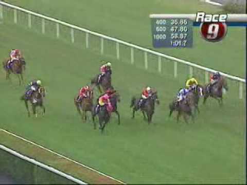 SINGAPORE THREE YEAR OLD SPRINT 19/01/08 - ONENINETYFIVE