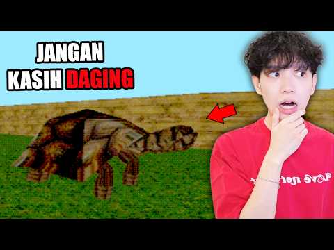 JANGAN Coba-Coba KASIH DAGING ke KURA ini ATAU JAM 3 PAGI dia BERUBAH. - Overfed