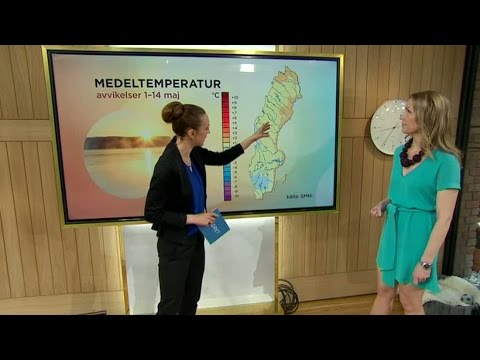 Väderspecial 16 maj - Nyhetsmorgon (TV4)