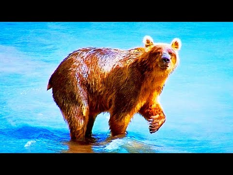 Полет над Россией — Русский трейлер (2021)