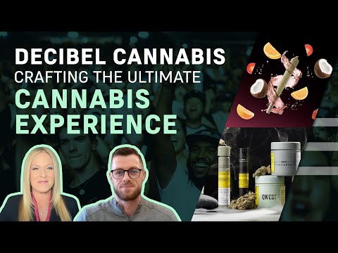 How $DB is Making Noise in the Cannabis Market 📣