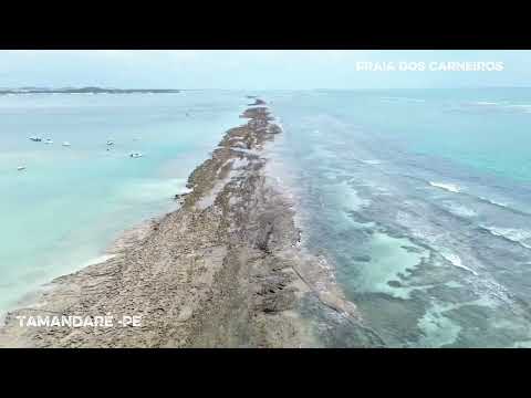 Tamandaré -Pe praia dos carneiros 