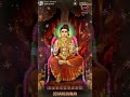 பாப்பாபட்டி5ம்தர்மாநாடு ஆச்சிகிழவி �