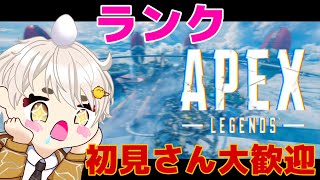 [APEX:ソロランク]ライフラ専❗ダイヤまで後1ティア💎ランクに命かけないVtuber🤘😎🤘【南蛮ちき/VTuber】#Apex #ApexLedgends #エーペックス]