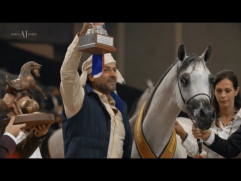 🇦🇪 DUBAI STUD - Achievements, 2021 PARIS ARABIAN HORSE WORLD CHAMPIONSHIP