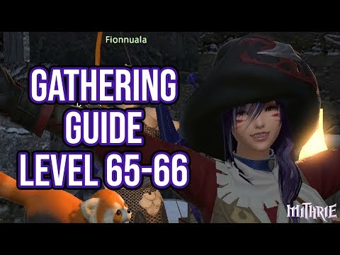 FFXIV 4.0 1118 Gathering Guide Level 65 to 66
