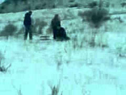 Drasov City   GnGsta ShiT     AltAhhh