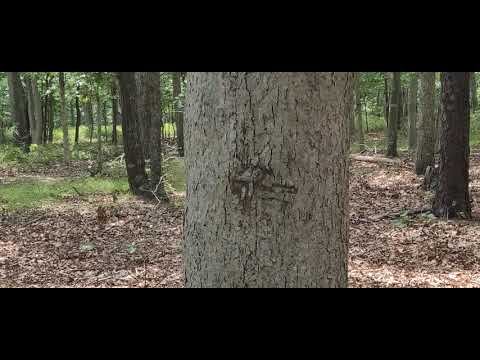 The Magic Of Indian Island with DHP And LIB