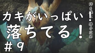 【MHRise】コイツババコンガに似てない？#９【ガンランス】