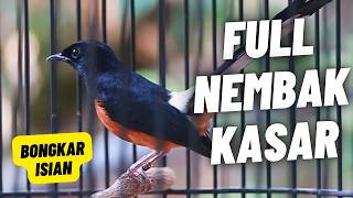 Download lagu MURAI BATU GACOR FULL ISIAN TEMBAKAN MEWAH KRETEKAN KERAS SANGAT AMPUH MELATIH MURAI BONGKAR ISIAN mp3