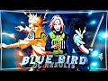 Blue Bird - Naruto [Edit/Amv] ! GOJO神's 50K OC Results 🎉
