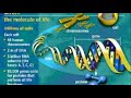 The Human Genome Helfiz Zacherin Production 2020