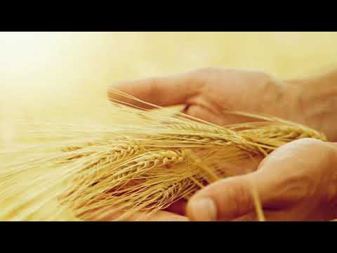 Dâng Chúa đất trời Sheet - Nhóm Du Ca