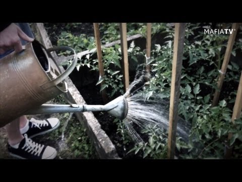 REVOLTA - Album Evoluce vědomí - 2.7.2012