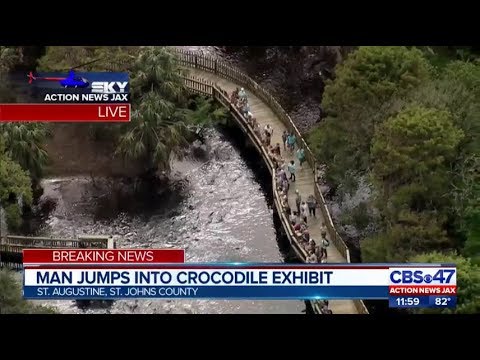 Man jumps into crocodile exhibit at Alligator Farm | Action News Jax