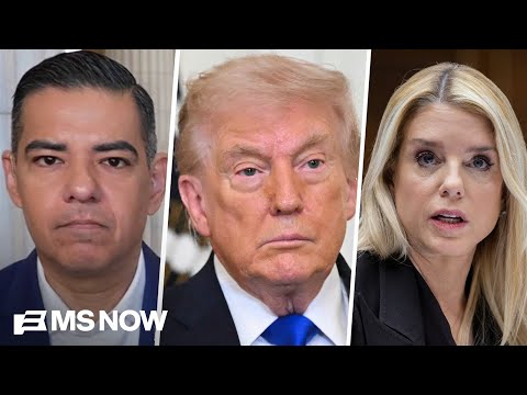 Top Oversight Dem on Epstein files: 'There clearly are documents missing'