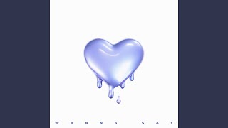 Wanna Say