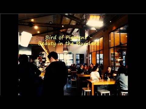 Bird of Figment - Beauty in the Mundane (lyrics ENG/KOR) 한글가사, 해석