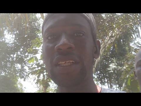 World Wood Day Live Concert In Ivory Coast