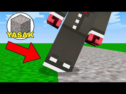 Minecraft AMA Bloğa Değmek Yasak