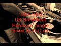 1992-1993 UK Breakbeat Hardcore Jungle vinyl mix by DJ Lolo