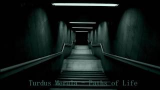 Download lagu Turdus Merula - Path of Life mp3