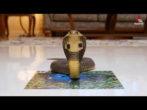 Patharamattu Promo || 24-11-2025 || Episode 818 || Asianet