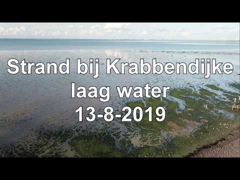 Strand bij Krabbendijke
