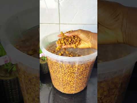 Tigernut drink by @nencancook