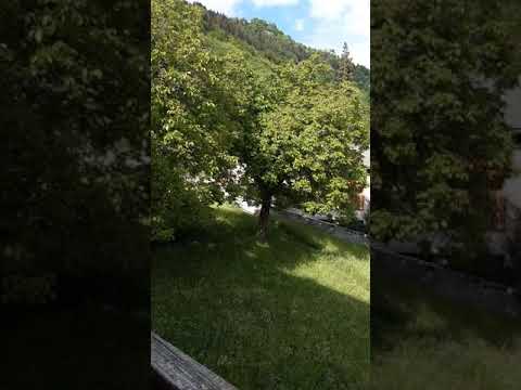 Soglio Bregaglia Grigioni  Juni 2020