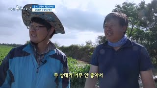 [우리 가족이 최고구마!] 무밭의 습격자~!