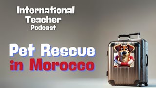 Giselle Discusses Having Pets Overseas, Pet Rescues, and more from Morocco