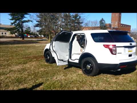 Enhance Your Fleet: 2013 Ford Interceptor Utility K9/Prisoner Transport Unit | Havis Inc.