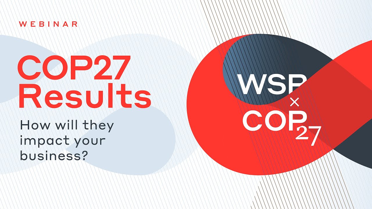 COP27 Results: How will they impact your business?
