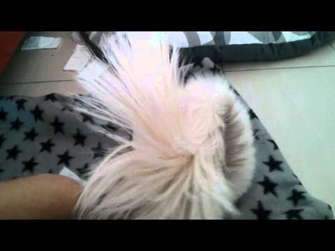 Stinktier Socke und die Taschentücher