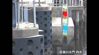 目黒川水門 内水側