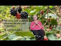 96 Year Old Appalachian Woman Discusses Medicinal Remedies from Childhood