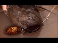 The Wheezing Fanged Lungfish | LUNGFISH | River Monsters