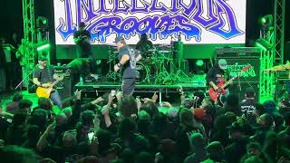Violent &amp; Funky - Infectious Grooves - Live at Garden Amp 03/24/24