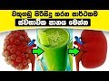 kidney-cleaning-natural-drink-02-11-2019
