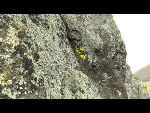 Palócföld kincsei-Ajnácskő.mp4