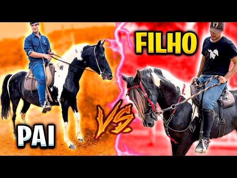 O GRANDE ENCONTRO do meu Cavalo EMBAIXADOR com seu PAI