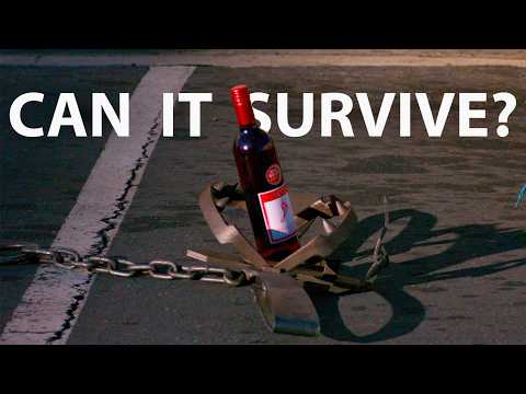 What can survive a BEAR TRAP?